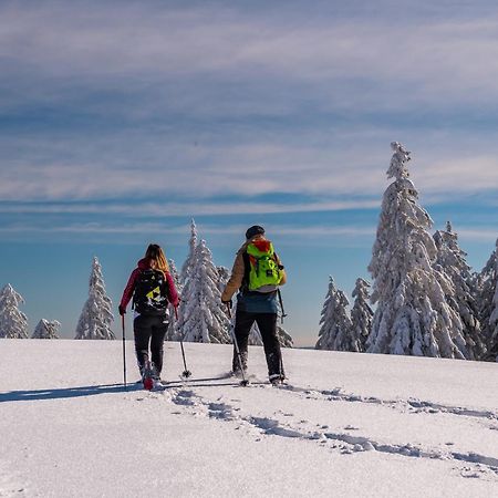 Schwarzwaldhorst Fewo 2 - Mit 4 Schlafzimmer - Todtnau, Liftverbund Feldberg Exteriér fotografie