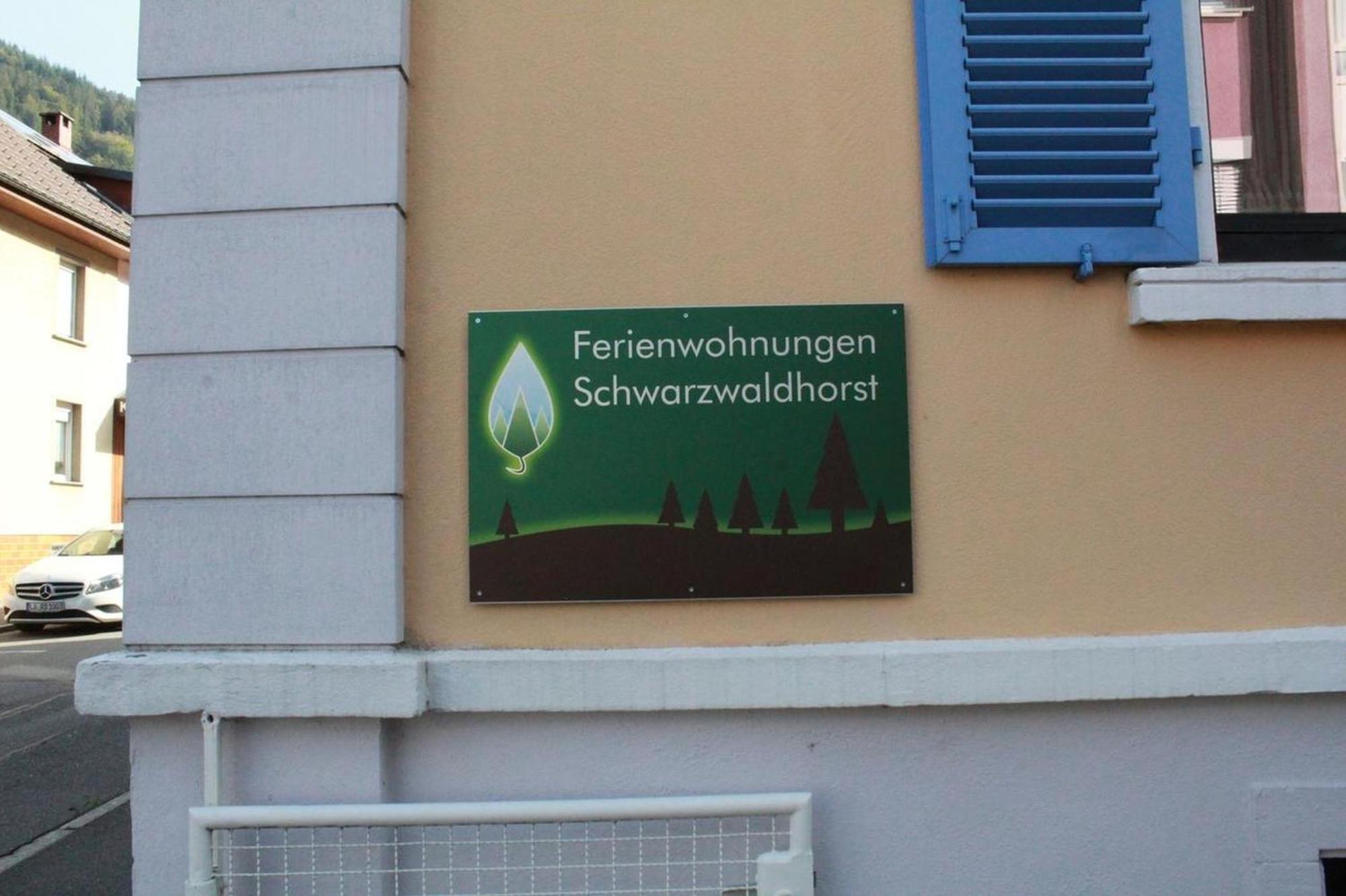 Schwarzwaldhorst Fewo 2 - Mit 4 Schlafzimmer - Todtnau, Liftverbund Feldberg Exteriér fotografie