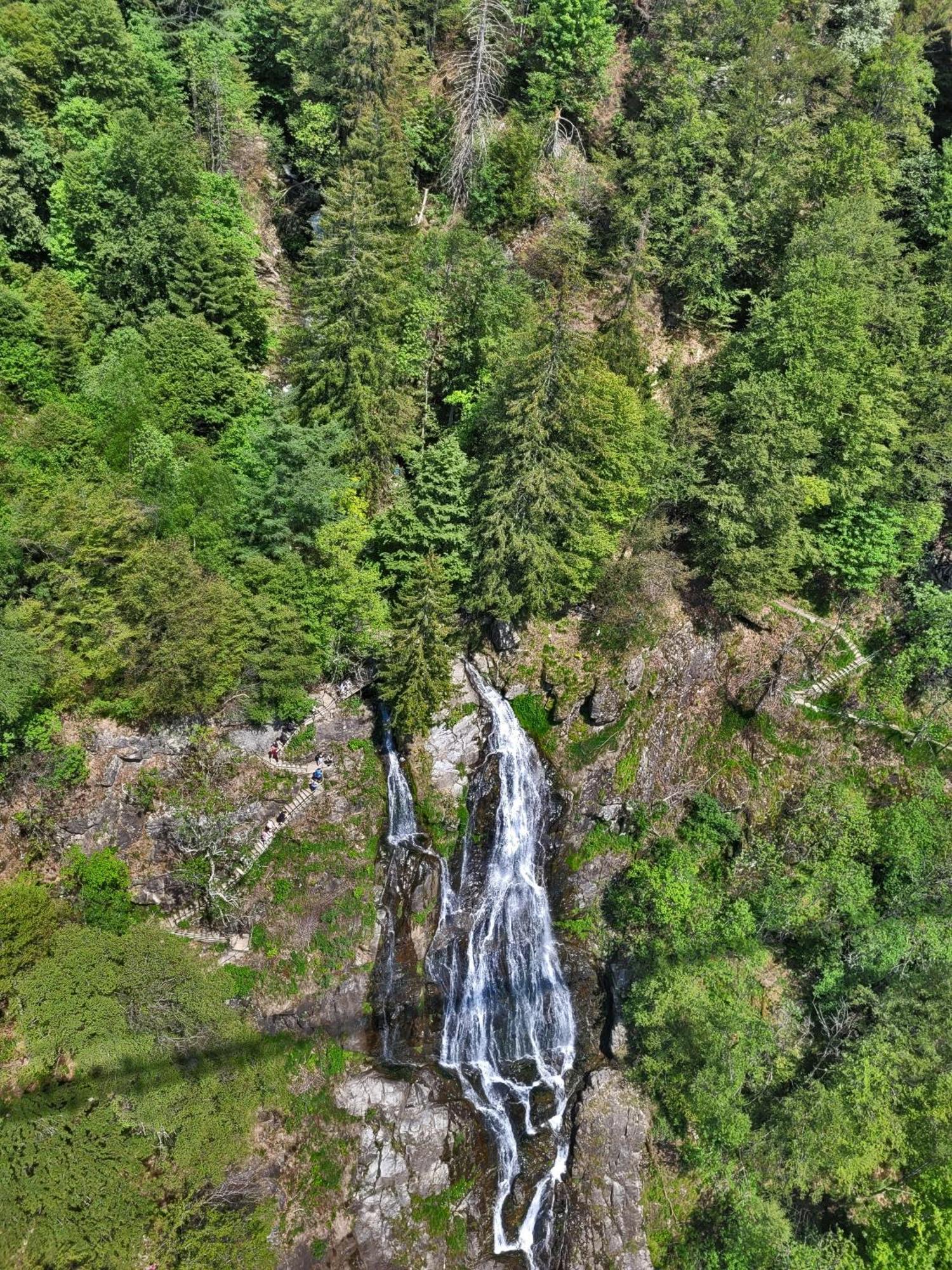 Schwarzwaldhorst Fewo 2 - Mit 4 Schlafzimmer - Todtnau, Liftverbund Feldberg Exteriér fotografie