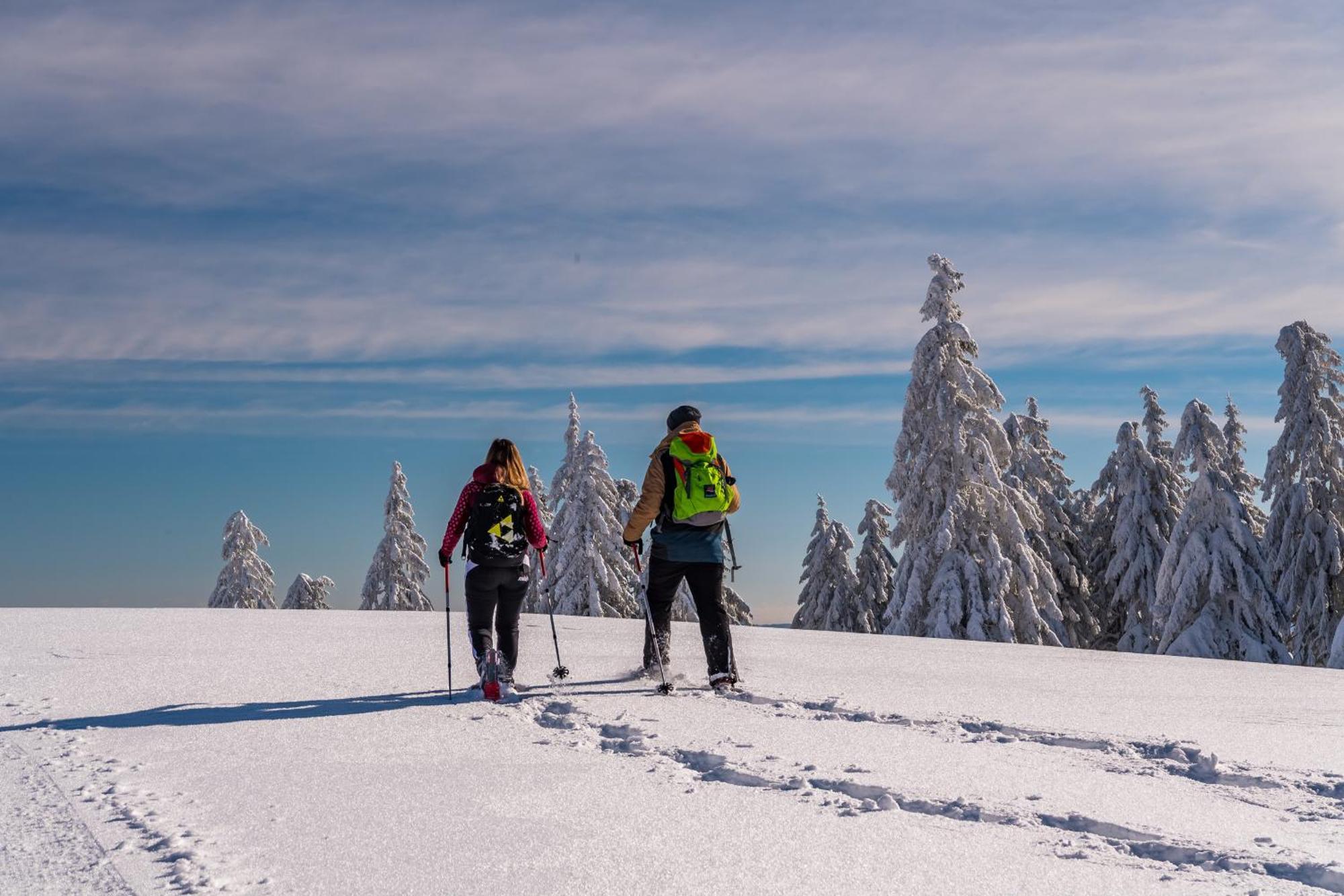 Schwarzwaldhorst Fewo 2 - Mit 4 Schlafzimmer - Todtnau, Liftverbund Feldberg Exteriér fotografie